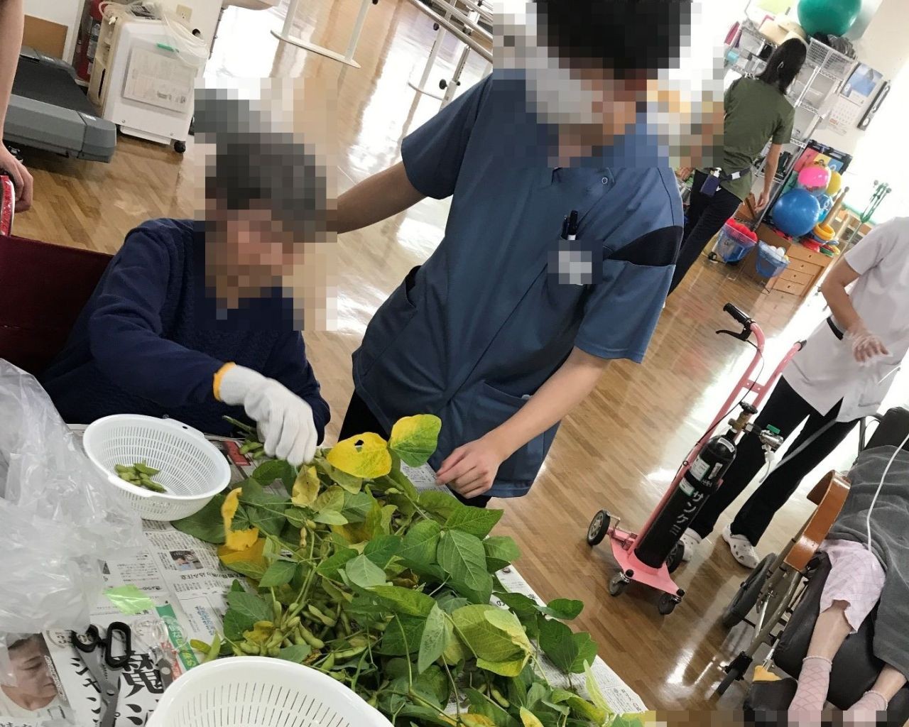 看護助手 / 介護職/ヘルパー